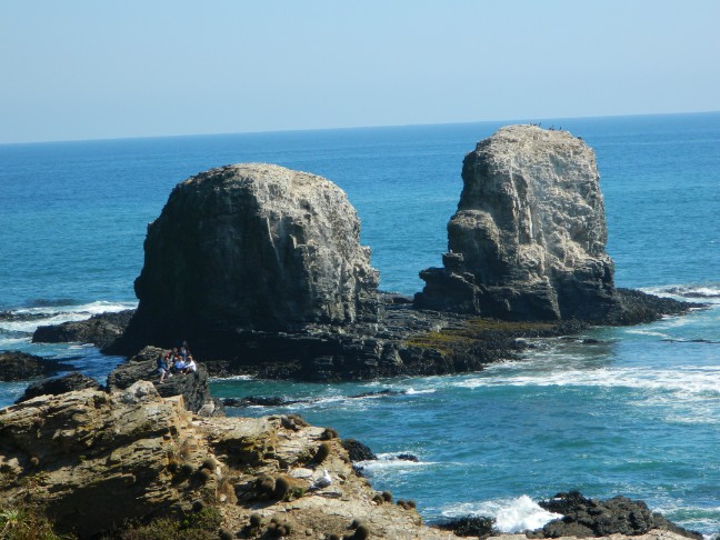 Los Morros de Punta de Lobos vistos desde la costa